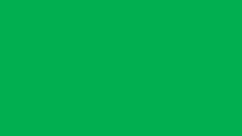 Level 1 Green