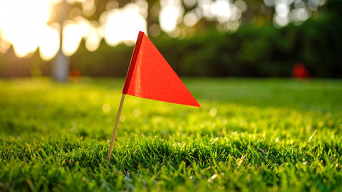 red flag in the grass