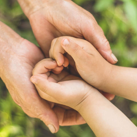 Childs hand and old hand grandmother